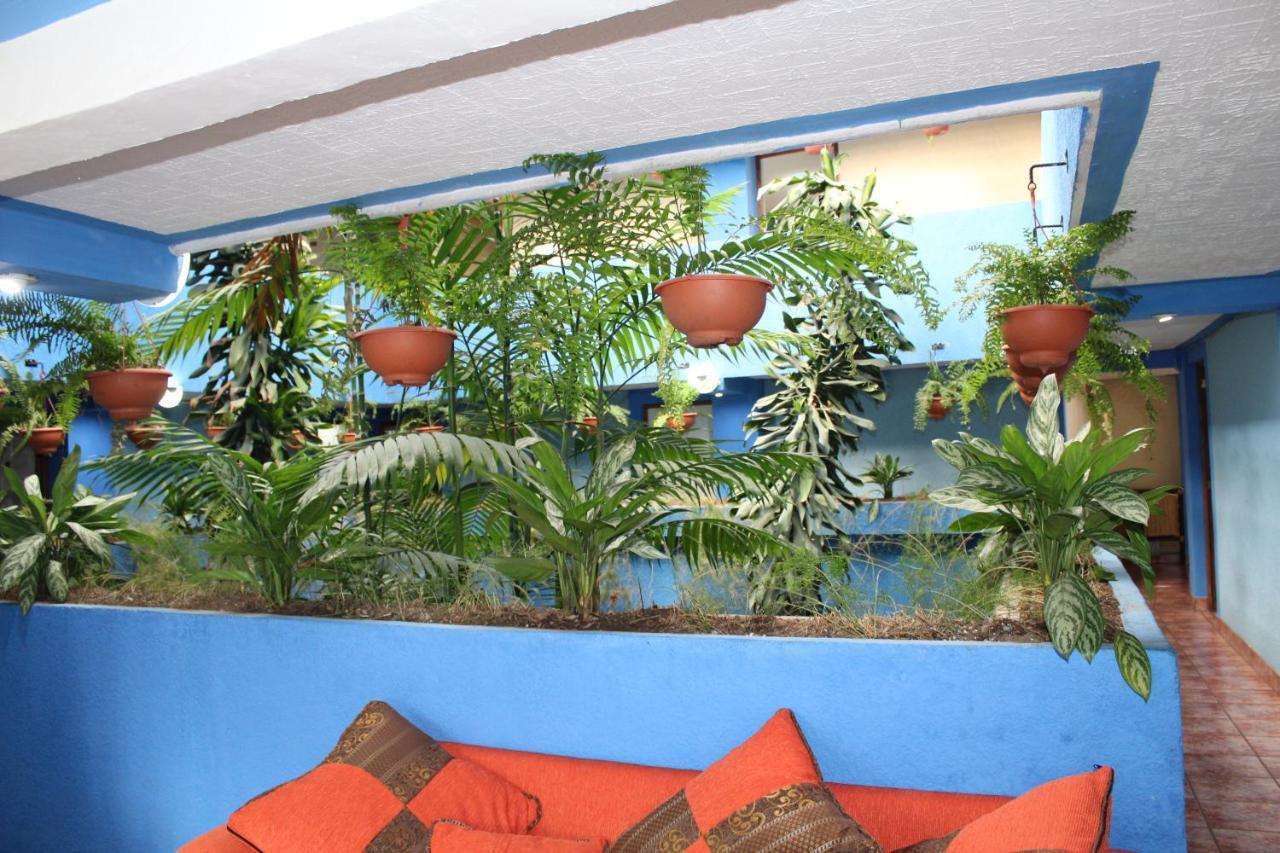 Hotel Kasa Kamelot 2 Quetzaltenango Luaran gambar