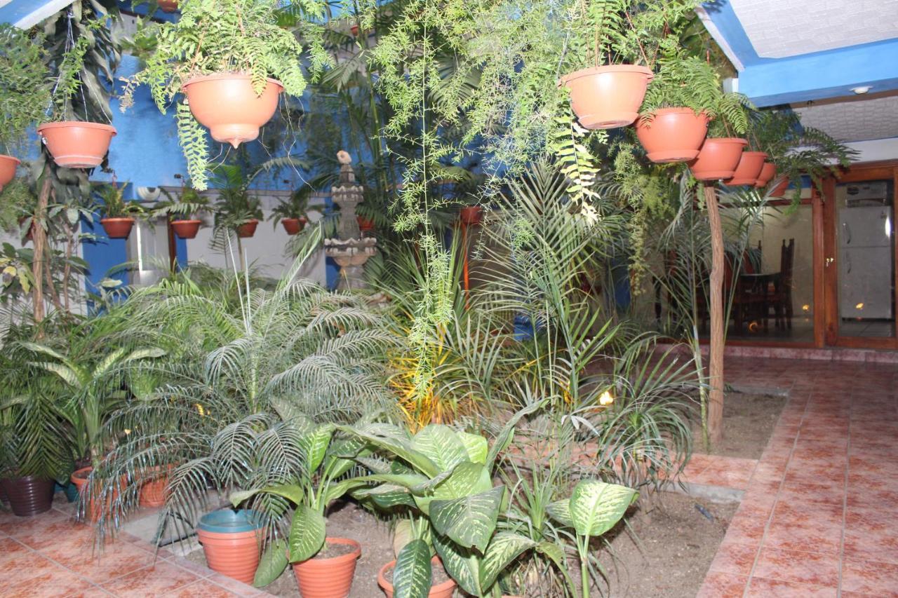 Hotel Kasa Kamelot 2 Quetzaltenango Luaran gambar